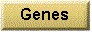 genes.gif (1957 bytes)
